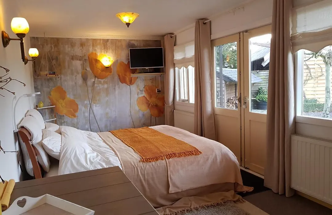 B&B Usselo Klein, fijn en uniek!-1